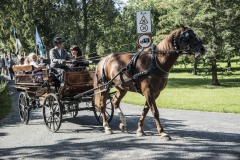 003_JUURUKOOL_2SEP2019