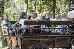 006_JUURUKOOL_2SEP2019