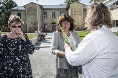 121_JUURUKOOL_2SEP2019